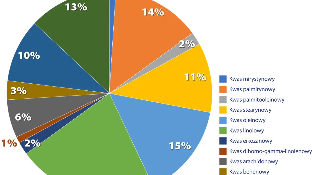 Wykres kołowy pokazuje skład lipidów: kwas linolowy (22%), oleinowy (15%), palmitynowy (14%) i inne kwasy tłuszczowe.