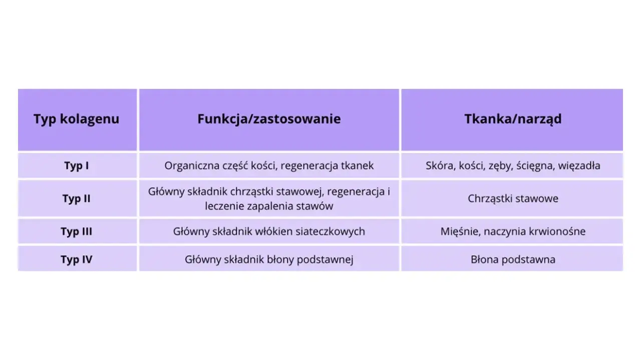 Tabela przedstawia rodzaje kolagenu: Typ I (kości, skóra), Typ II (chrząstki stawowe), Typ III (mięśnie) i Typ IV (błona podstawna), ich funkcje i tkanki.