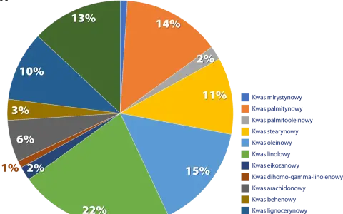 Wykres kołowy pokazuje skład lipidów: kwas linolowy (22%), oleinowy (15%), palmitynowy (14%) i inne kwasy tłuszczowe.