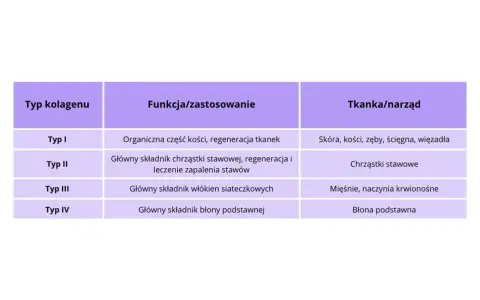 Tabela przedstawia rodzaje kolagenu: Typ I (kości, skóra), Typ II (chrząstki stawowe), Typ III (mięśnie) i Typ IV (błona podstawna), ich funkcje i tkanki.