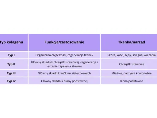 Tabela przedstawia rodzaje kolagenu: Typ I (kości, skóra), Typ II (chrząstki stawowe), Typ III (mięśnie) i Typ IV (błona podstawna), ich funkcje i tkanki.